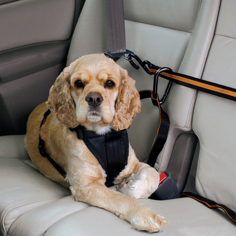 Pet Safety Belt