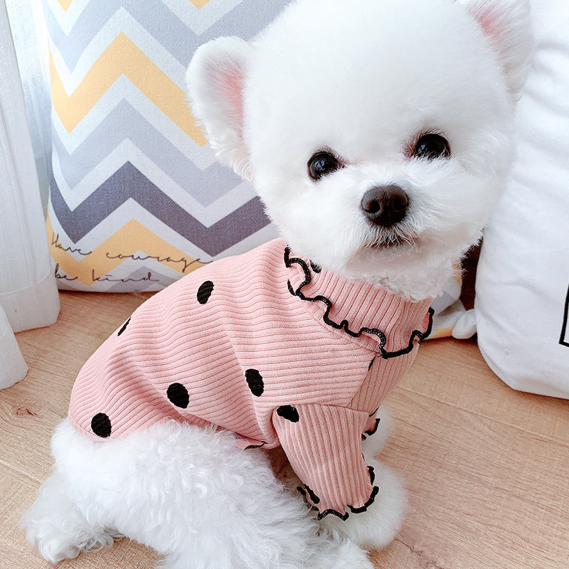 Dog Clothes