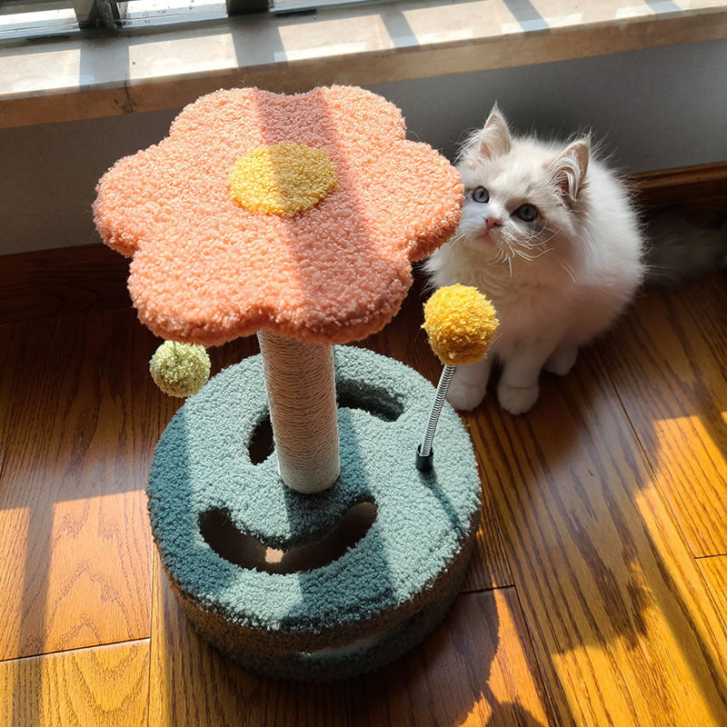 Cat Toys