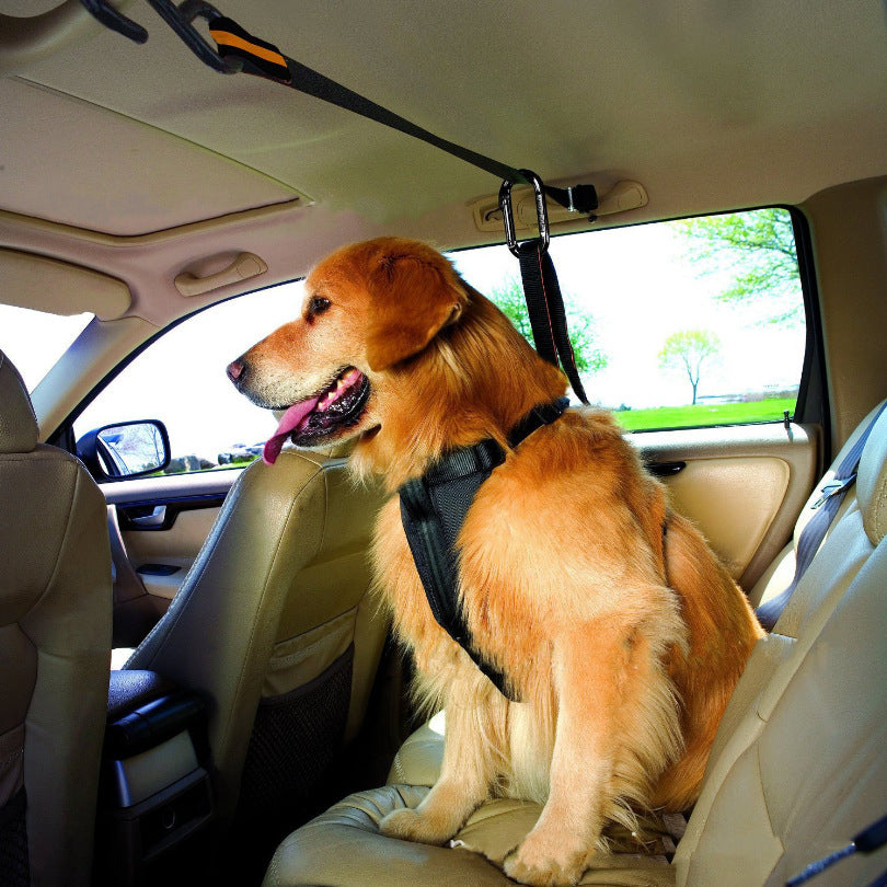 Pet Safety Belt
