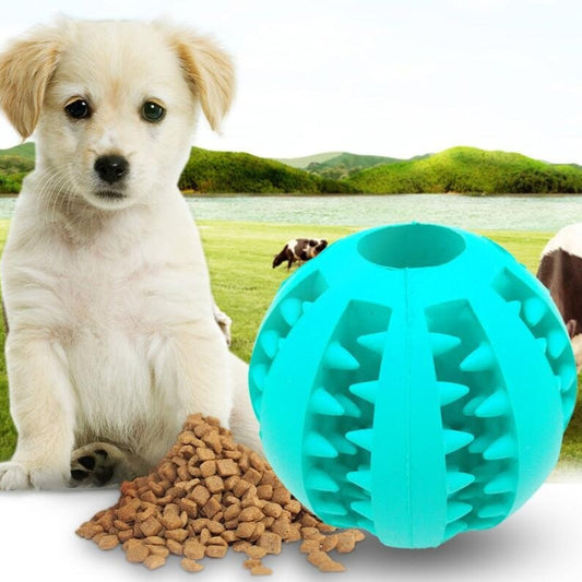 Pet Slow Feeder Toy