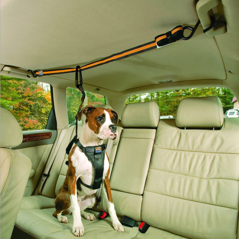 Pet Safety Belt